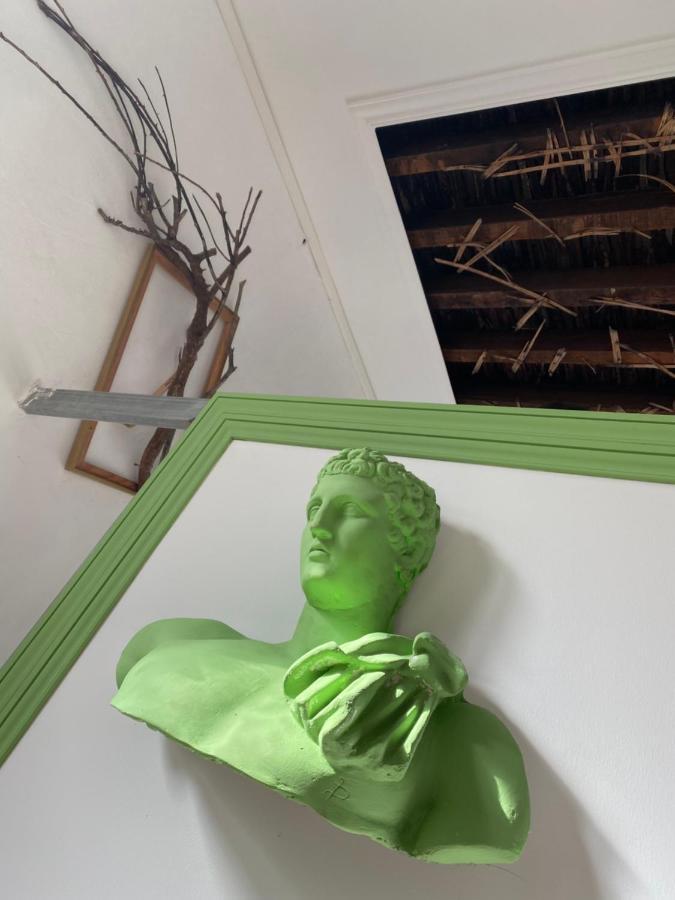 Tenerife Art Hostel 圣克鲁斯-德特内里费 外观 照片