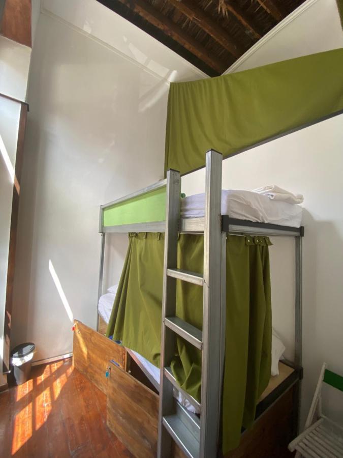 Tenerife Art Hostel 圣克鲁斯-德特内里费 外观 照片